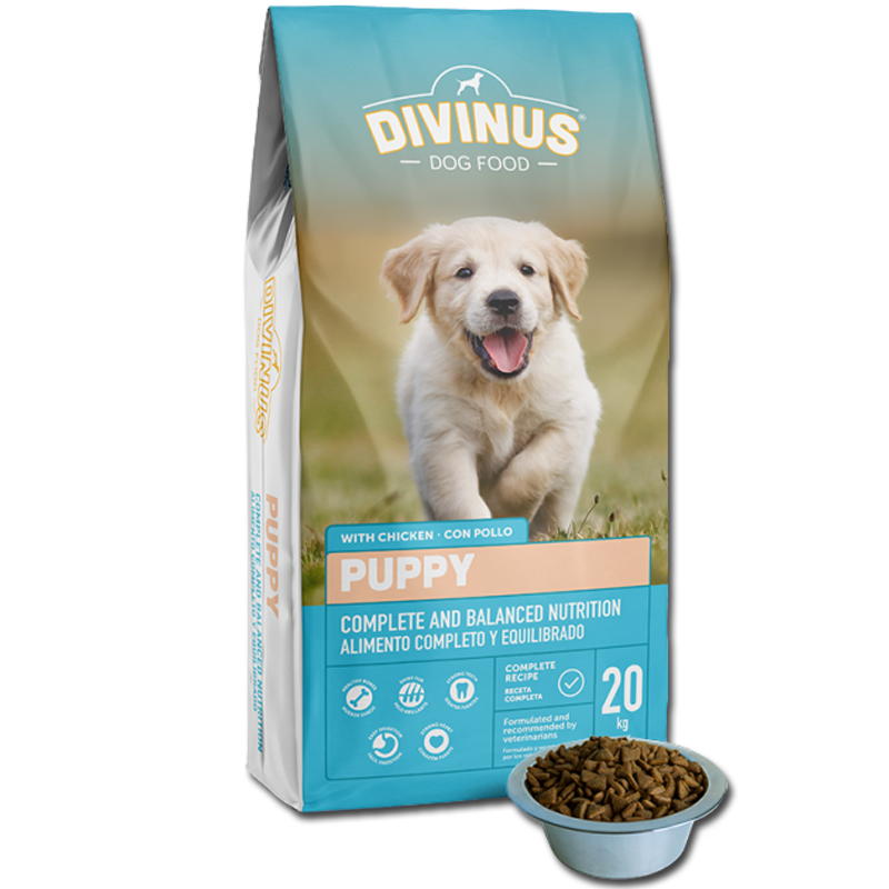 Divinus Puppy dla szczeniąt 20kg