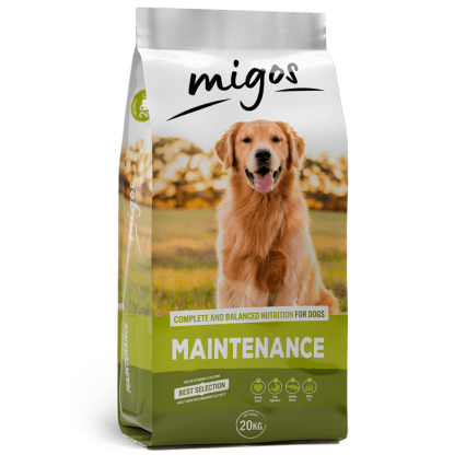 Migos Maintenance 20kg