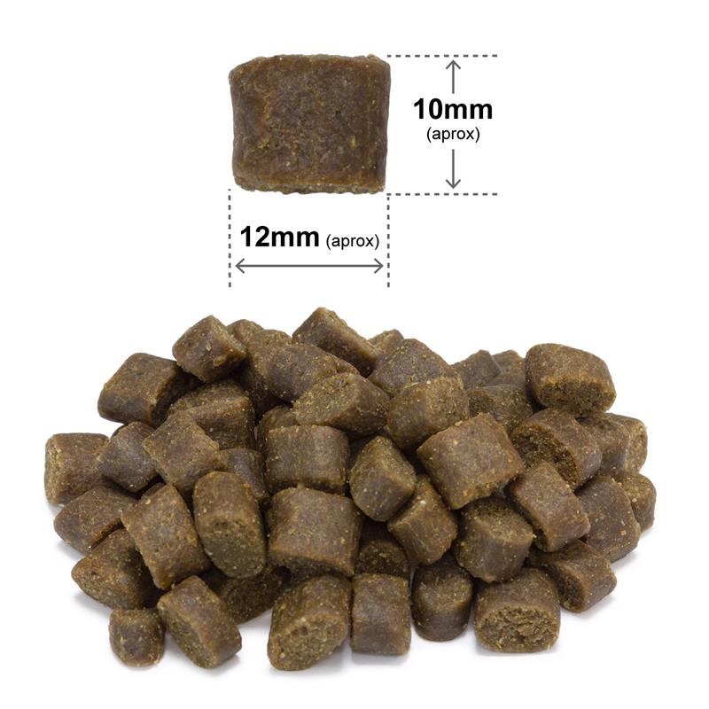 ARQUIVET FRESH Półwilgotna karma dla psa ryba oceaniczna 10 kg - obrazek 2
