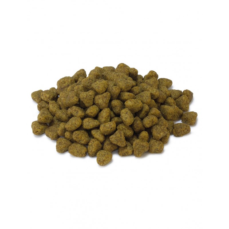 ARQUIVET CAT Sucha karma dla kotów sterylizowanych z indykiem 1,5 kg - obrazek 2