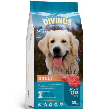 Divinus Adult dla psów dorosłych 20kg