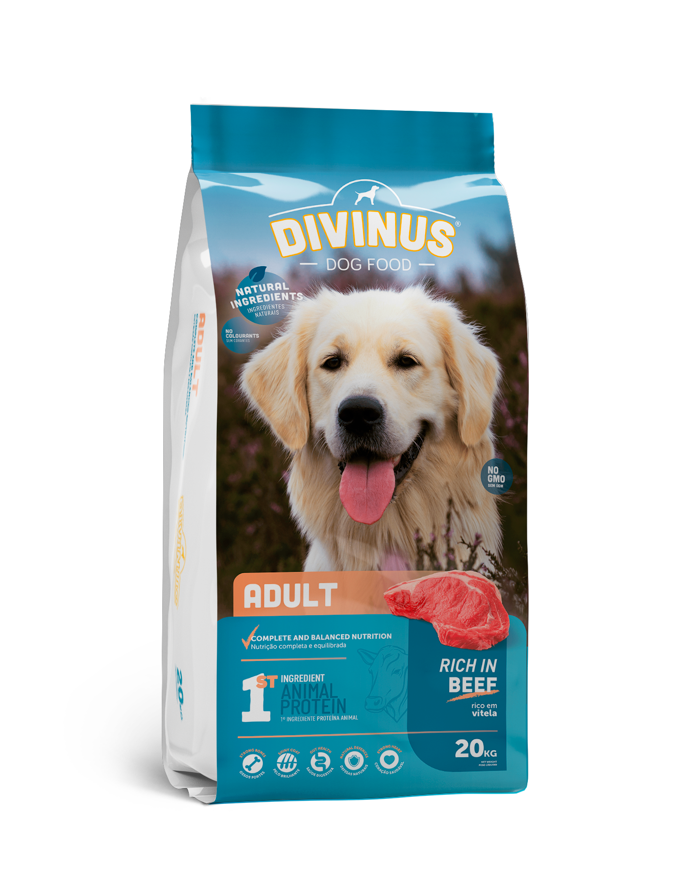 Divinus Adult dla psów dorosłych 20kg